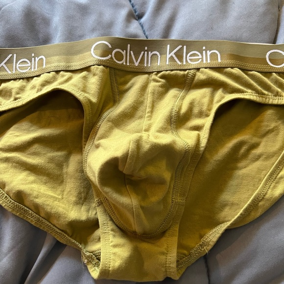 Calvin Klein Underwear Underwear & Socks Calvin Klein Brief Poshmark